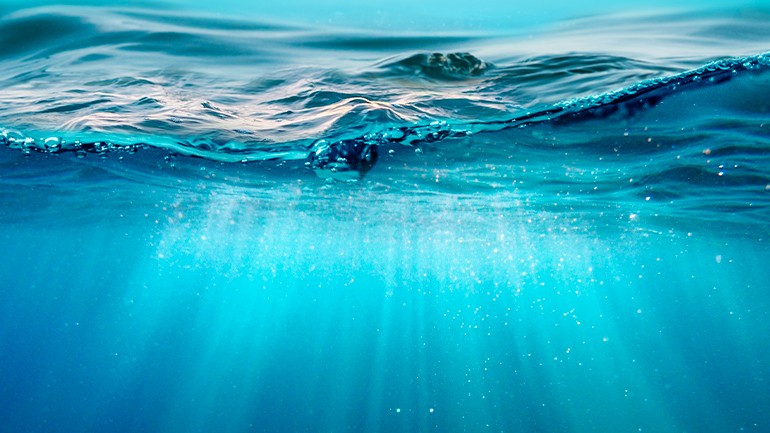 news-iniziative-giornata-oceani-2024
