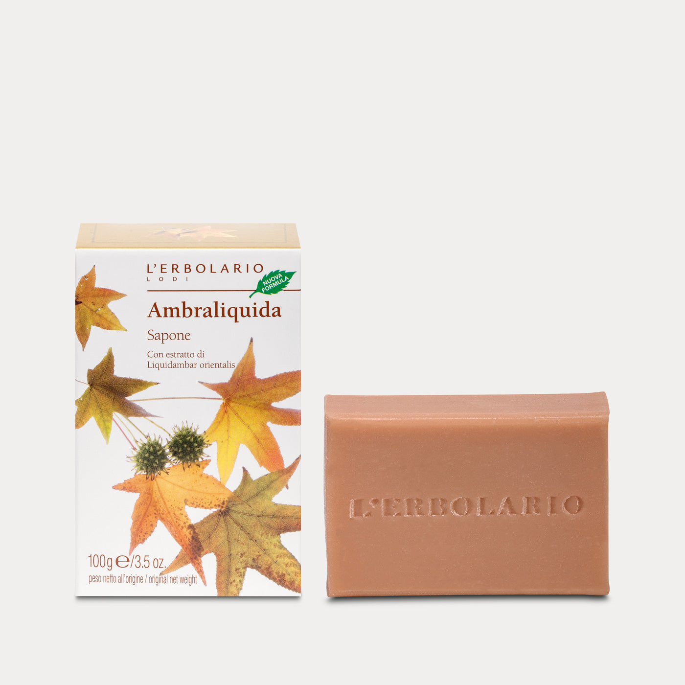 Sapone Ambraliquida