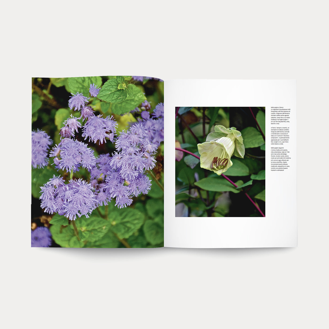 Libro Orti Botanici
