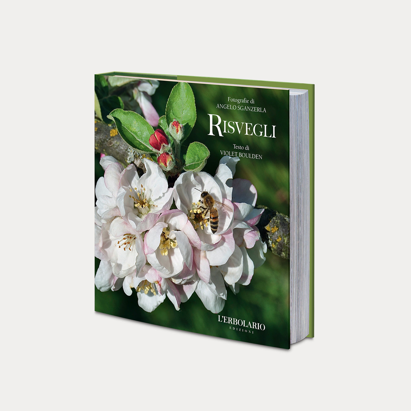 Libro Risvegli