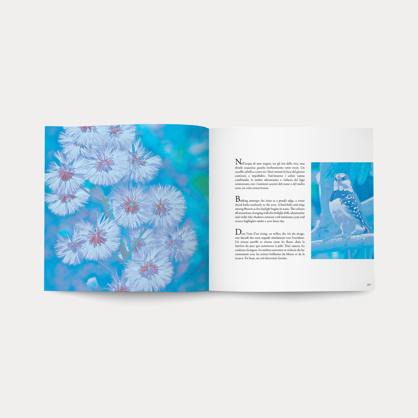 Libro Magic Garden