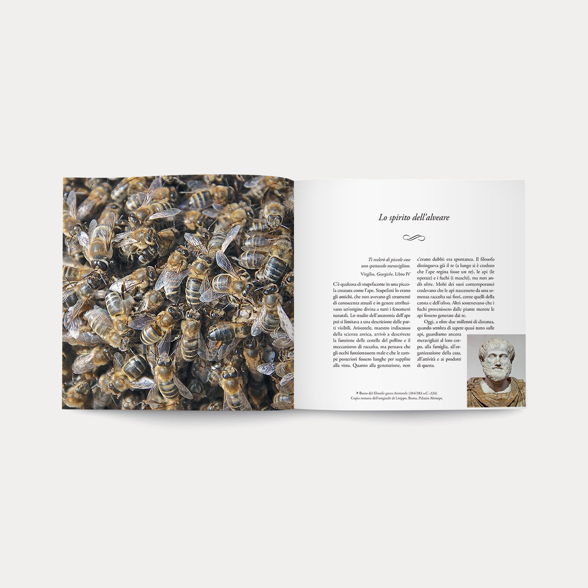 Libro Care Api
